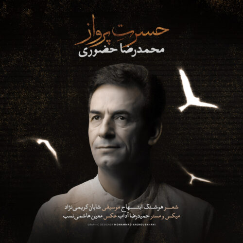 دانلود آهنگ محمدرضا حضورى حسرت پرواز