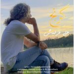 دانلود آهنگ علی قزلباش گرنج دانلود آهنگ علی قزلباش گرنج